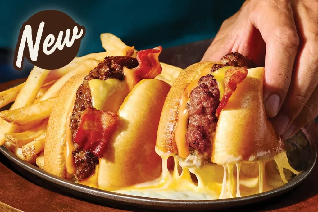 NEW O-M-Cheese Burger